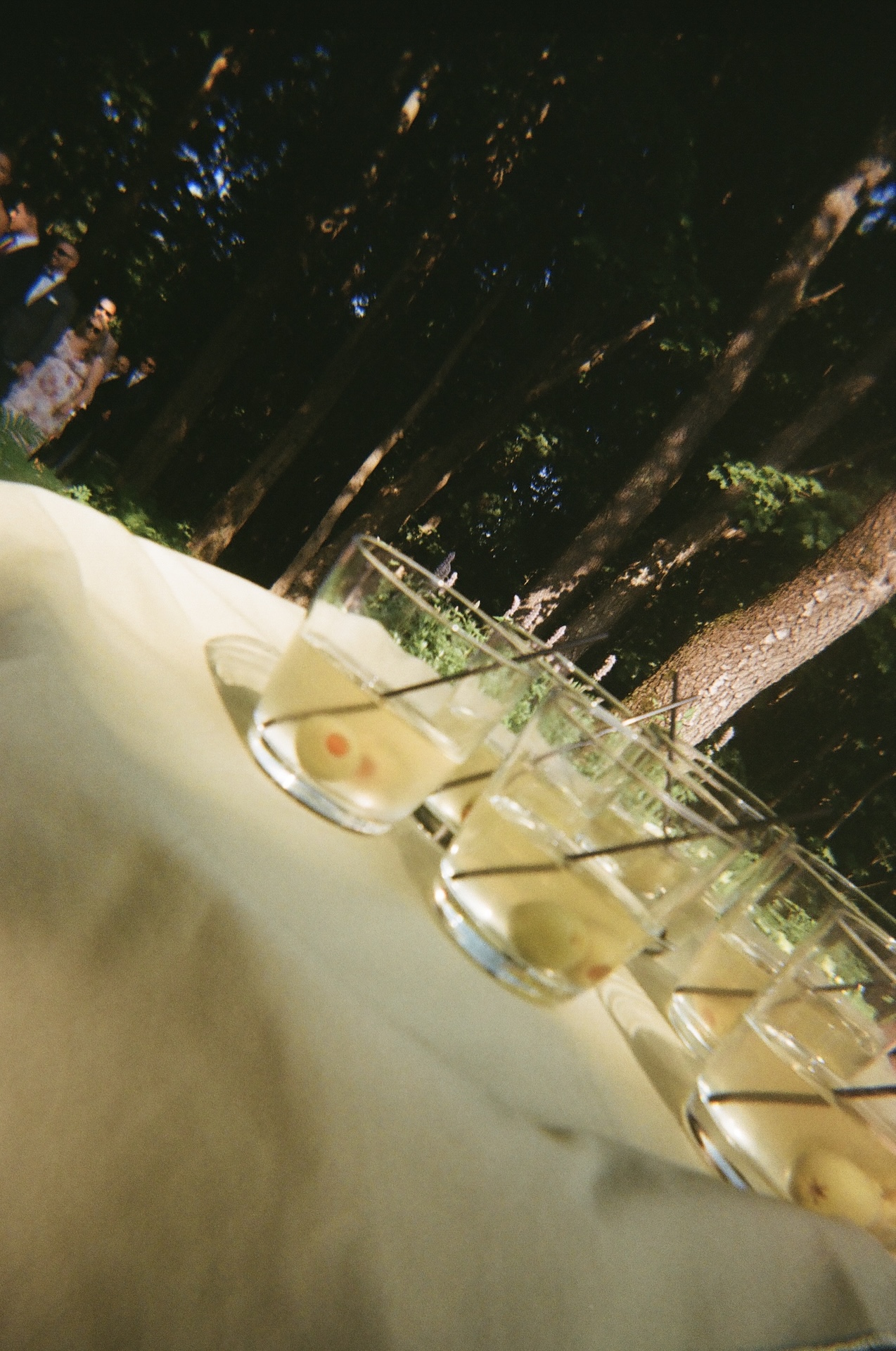 Glasses of signature cocktails with olives lined up on a table in the forest setting during cocktail hour.