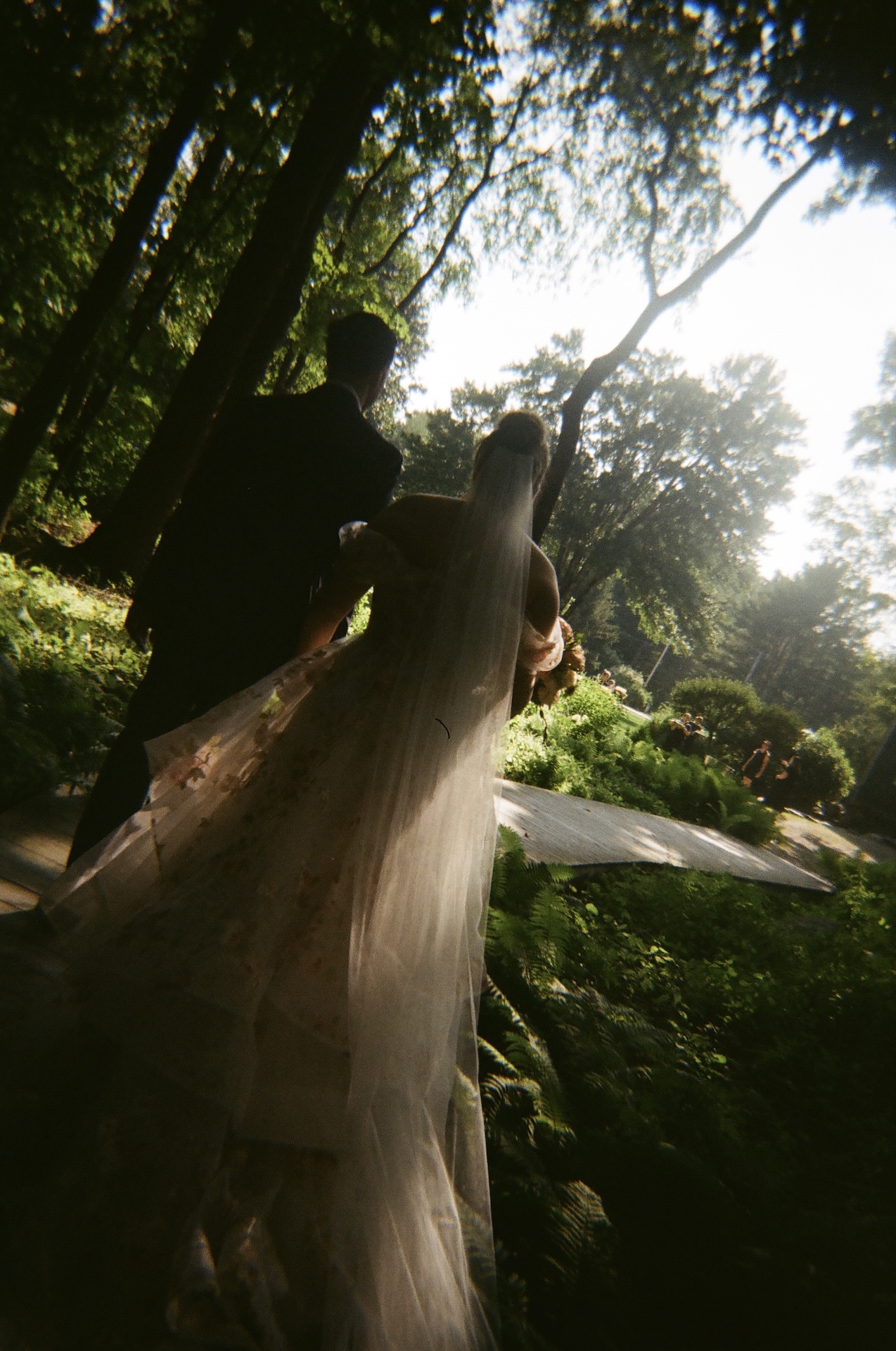 The couple walking hand in hand through the forest, the bride’s long veil trailing behind them in the afternoon light.