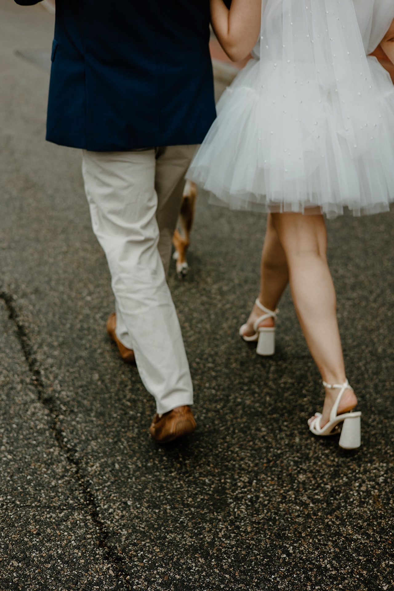 Close-up of bride and groom walking on wet pavement, holding hands with their dog nearby.