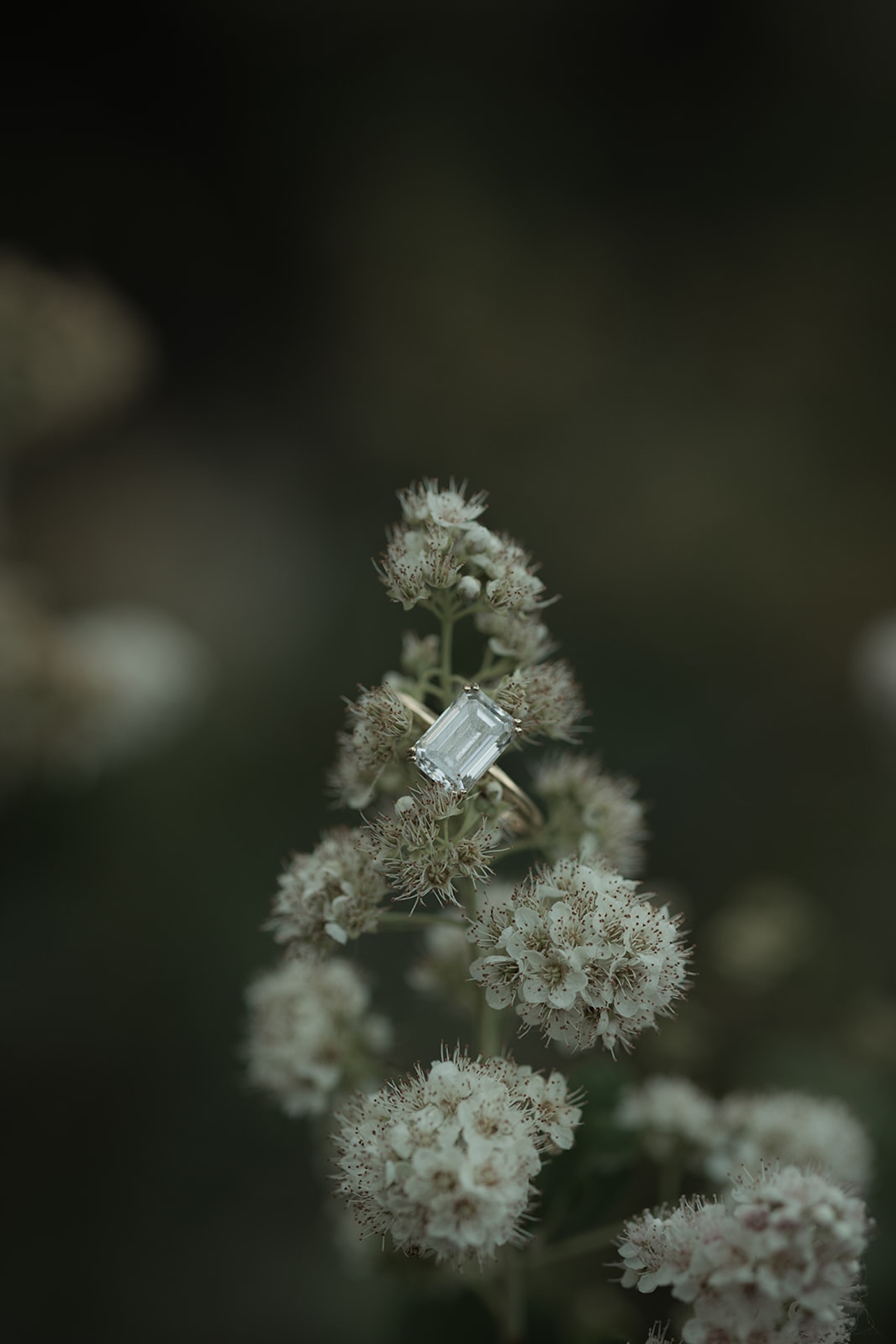 A close-up shot of an emerald-cut engagement ring resting delicately on small white flowers, photographed as Acadia engagement photos.