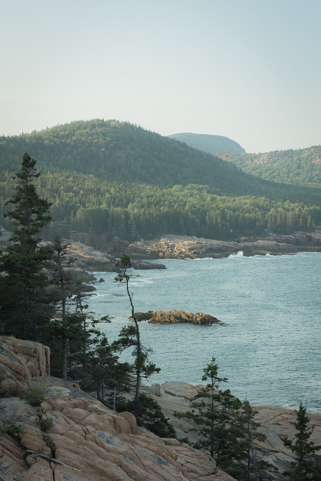 A scenic photo of the rocky cliff edge with the blue ocean stretching out behind them, framed softly by nearby branches.