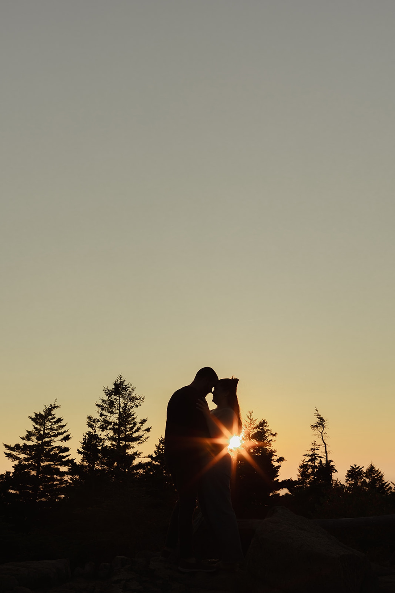 A silhouette of the couple standing together at sunset, surrounded by pine trees and soft golden light as they share an intimate moment.