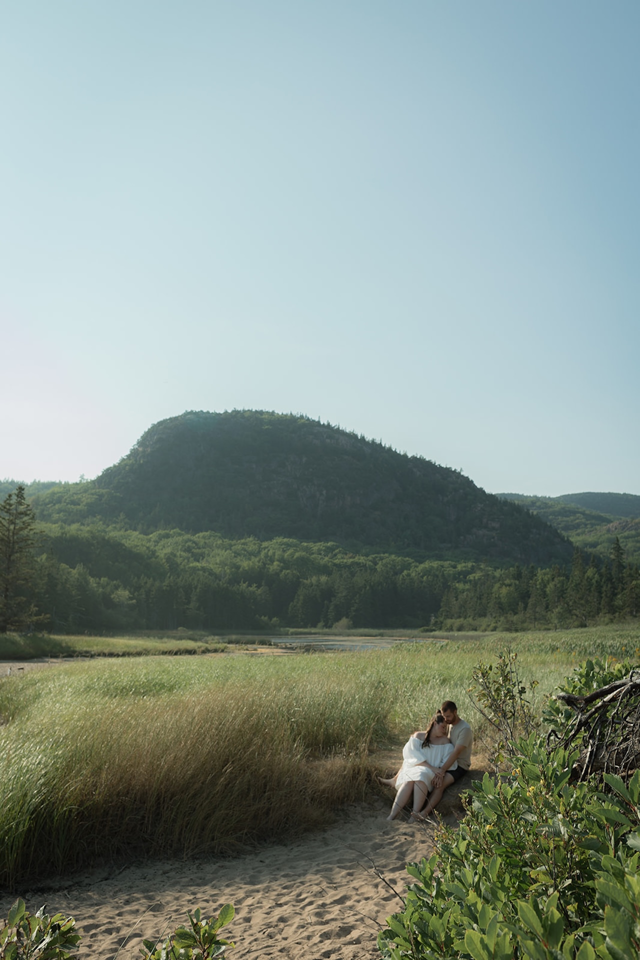 A couple sitting close together in tall grass at the base of a mountain, sharing a quiet moment in the landscape, photographed as Acadia engagement photos.