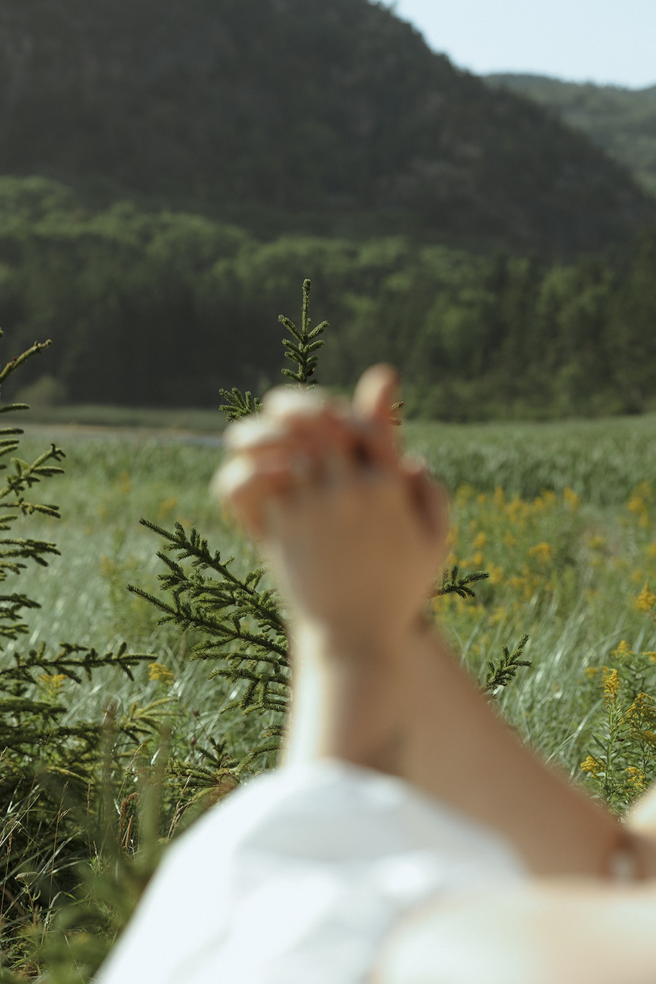 A close-up shot of two hands interlocked in front of a hazy mountain view, a soft detail moment from Acadia engagement photos.