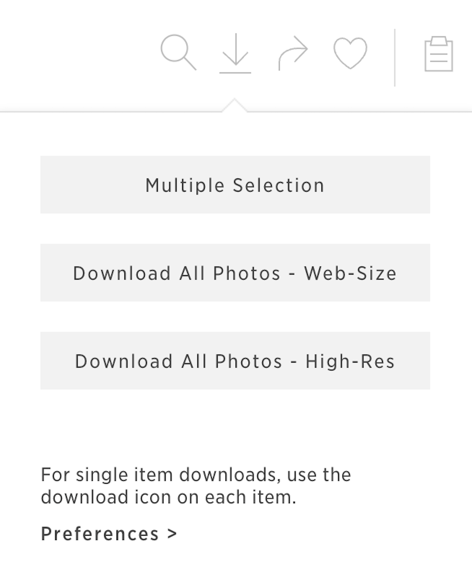 A photo of download settings, showcasing options for downloading multiple selections, download all photos websize, or all photos high-res. Use for a blog about the Best Online Gallery for Photographers