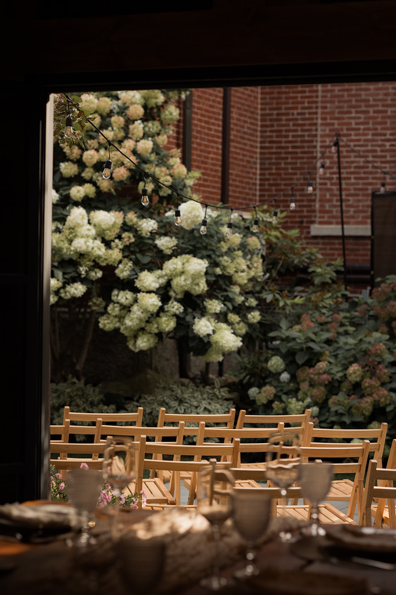 A view of the ceremony chairs arranged in the garden, framed by blooming hydrangeas.
