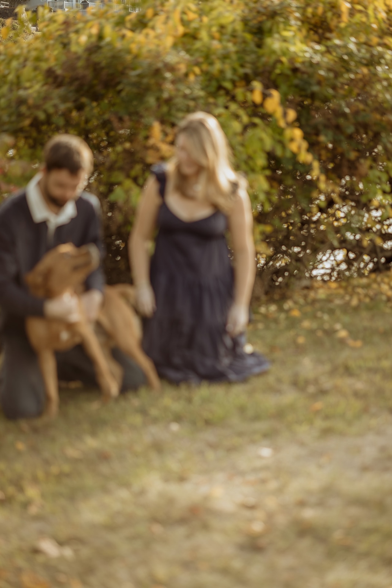 Soft lifestyle engagement image of couple kneeling in grass with their dog surrounded by autumn foliage.