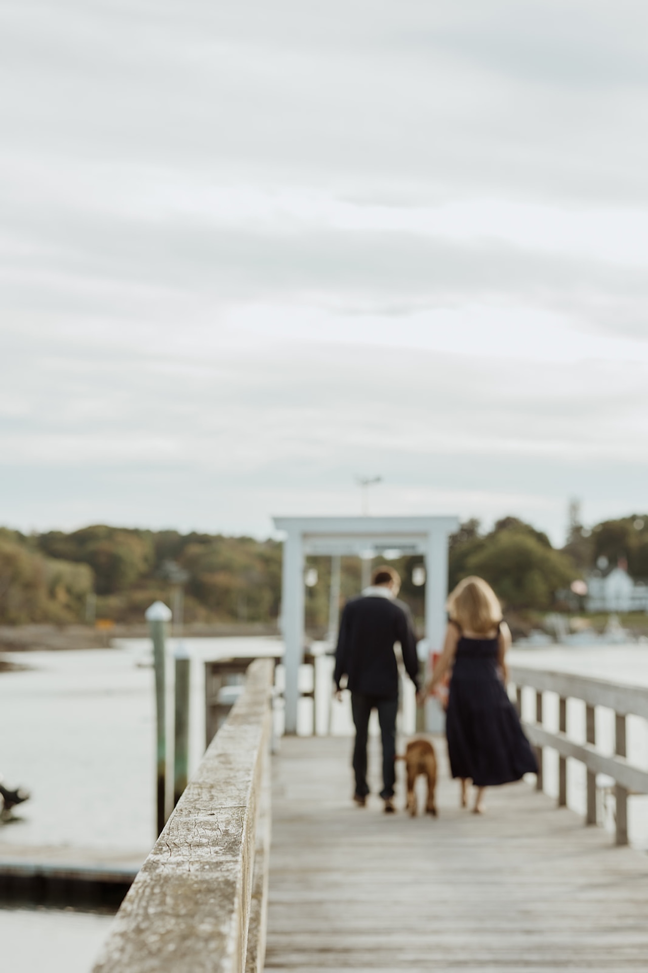 Back view of couple holding hands and walking with their dog across a grassy waterfront park at sunset.