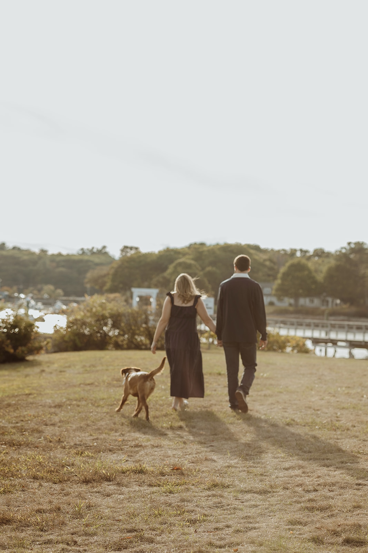 Back view of couple holding hands and walking with their dog across a grassy waterfront park at sunset.