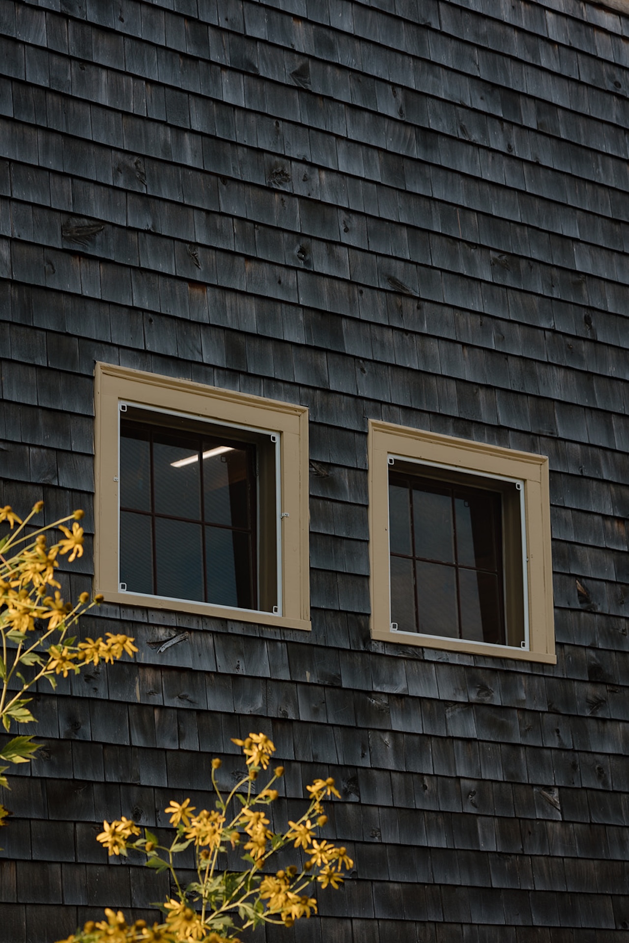 A wedding venue detail photo of a dark building with bright yellow florals in the foreground.