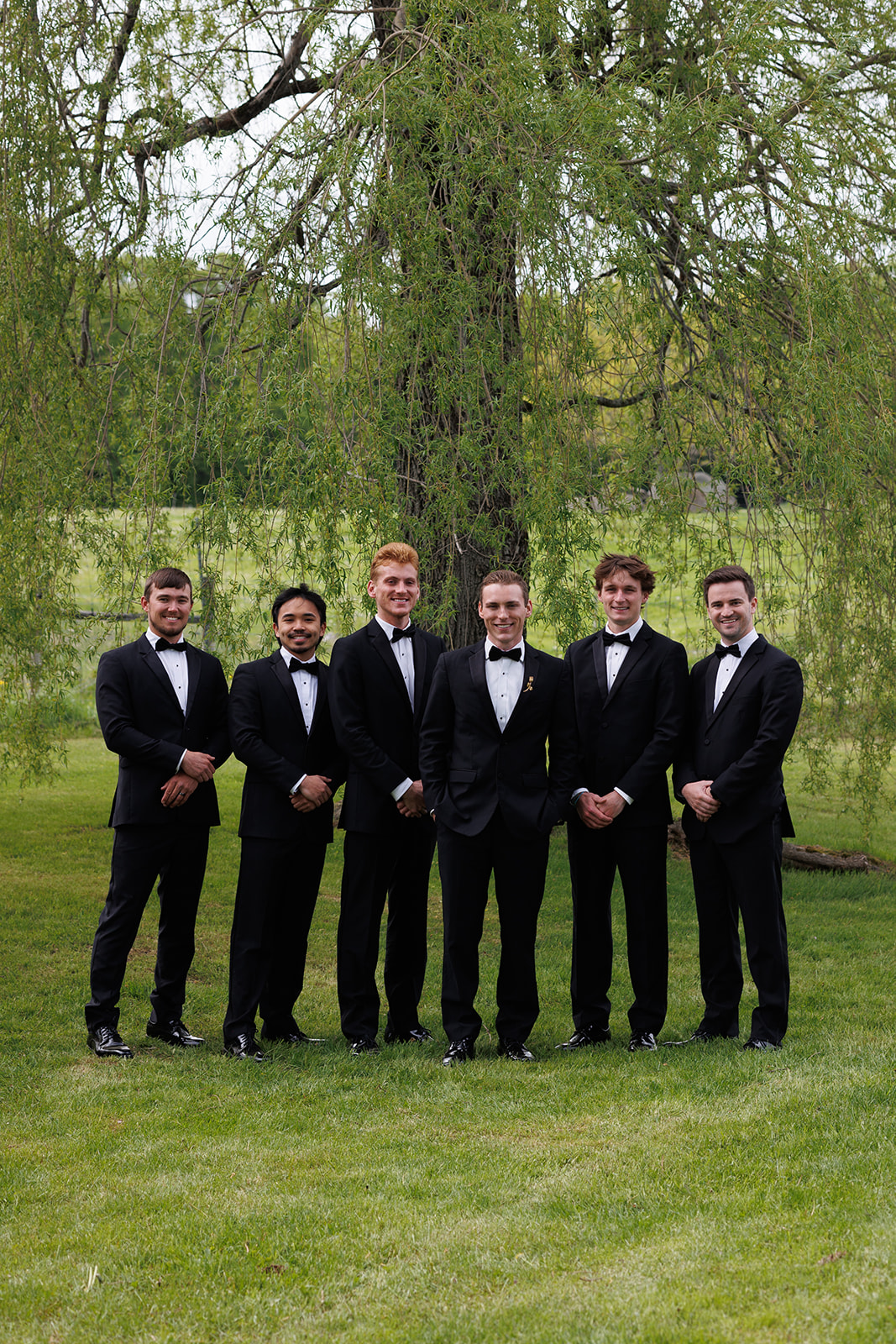 Groom posing with his groomsmen in black suits beneath a large willow tree.
