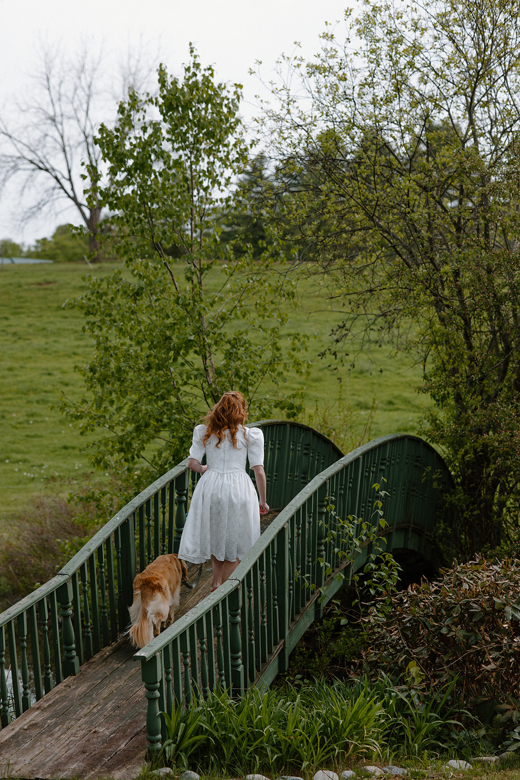 Woman in a white dress walking across a green footbridge with a golden retriever at the wedding venue.